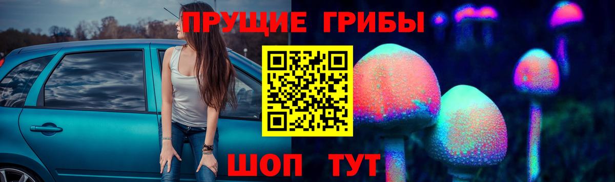 закладка  Псилоцибиновые грибы Cubensis  Вход с VPN  Галлюциногенные грибы MAGIC MUSHROOMS  Ижевск 